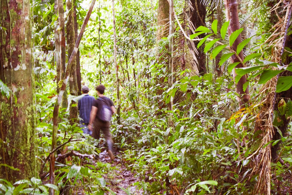 caminata en la selva amazonas colombia